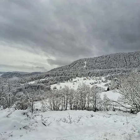 Trebevic Mountain House *